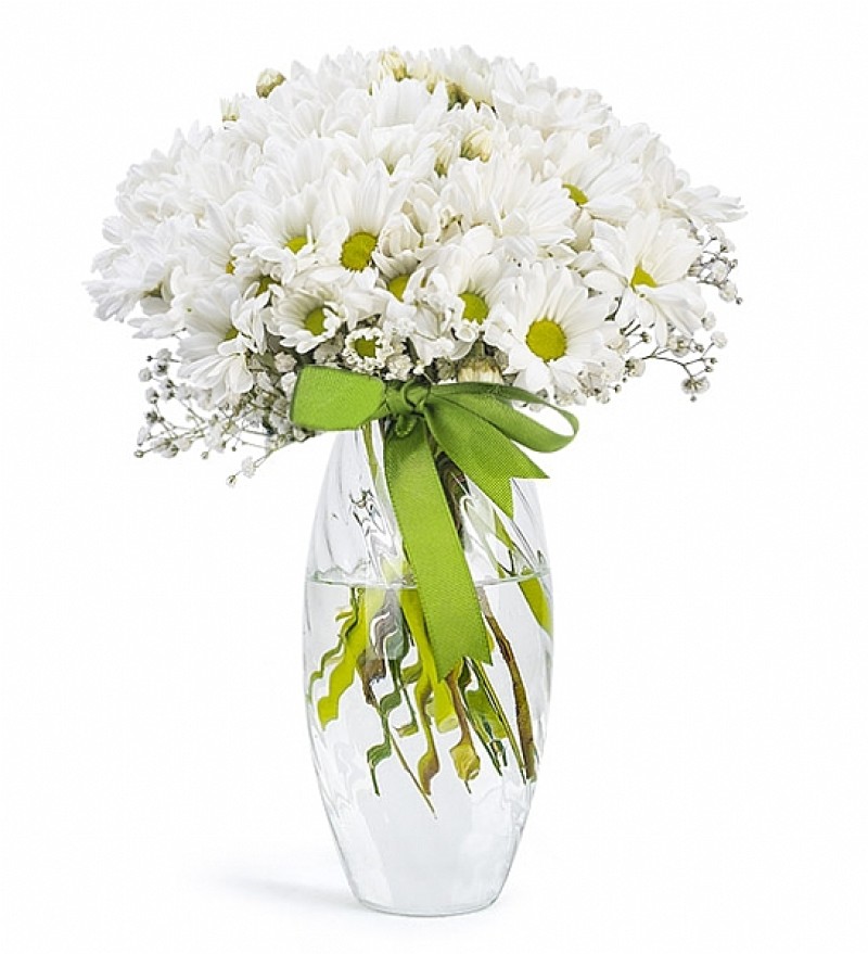 Vazo Dolusu Papatyam